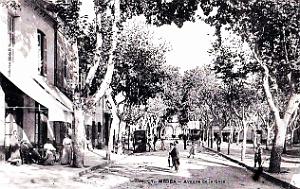 1739- Medea - Avenue de la Gare en 1906